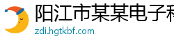 阳江市某某电子科技维修网点
